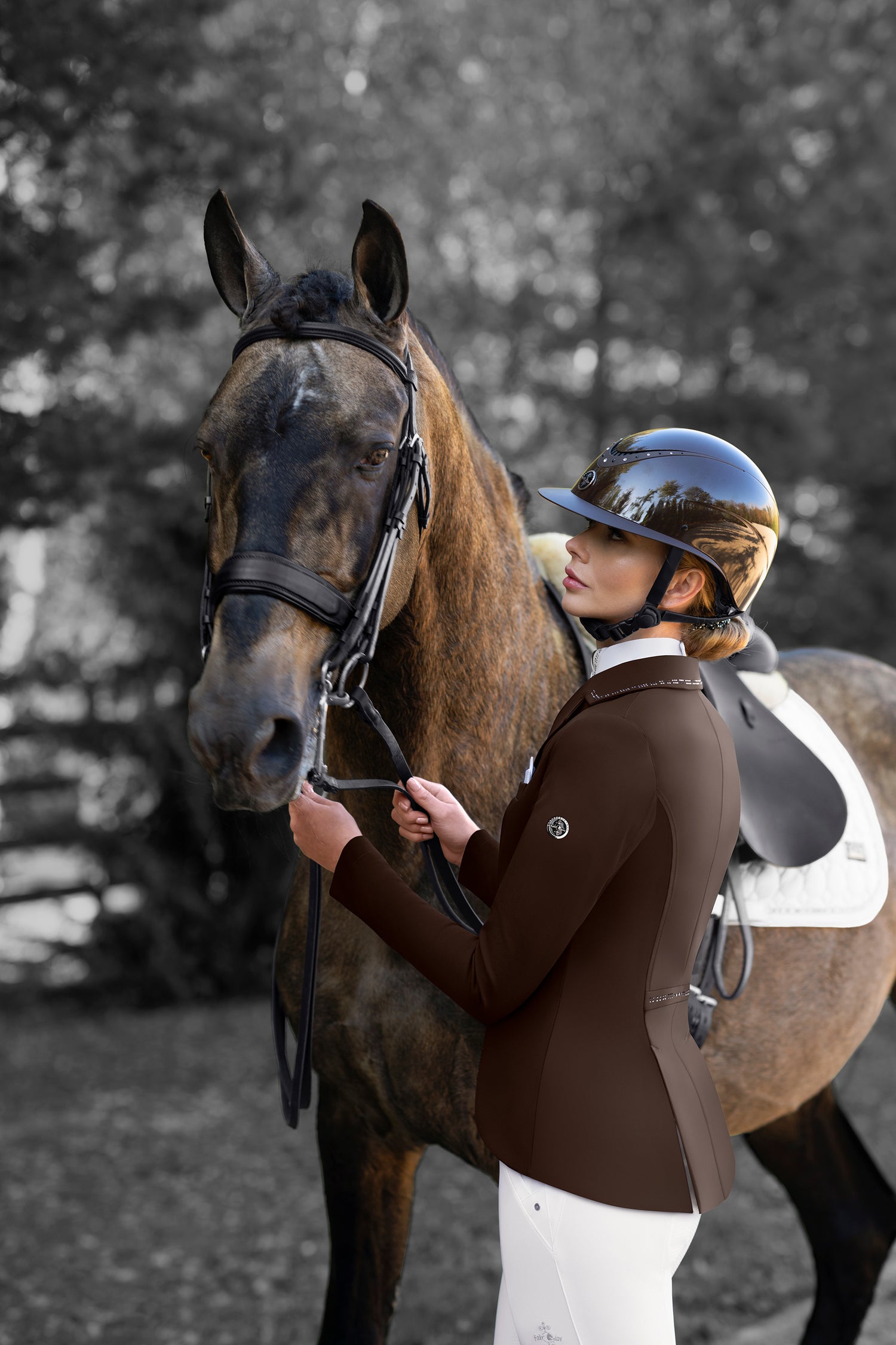 Brown dressage short tail coat