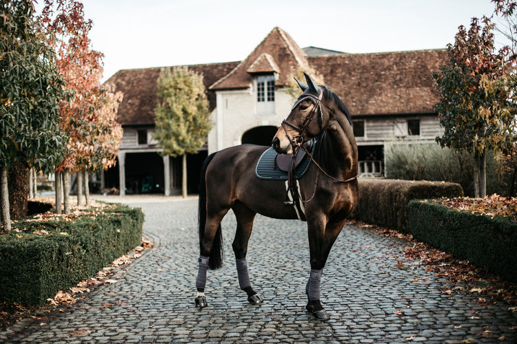 grey fleece bandages horse