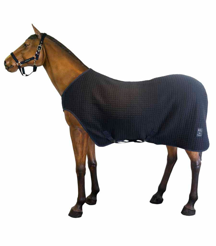 kingsland classic lunging rug