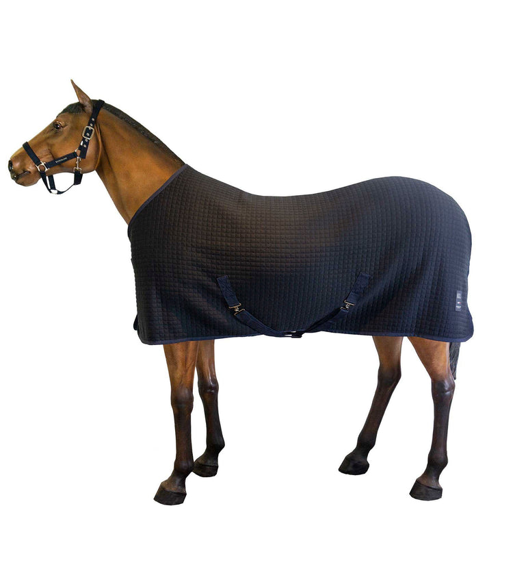 kingsland classic horse rug