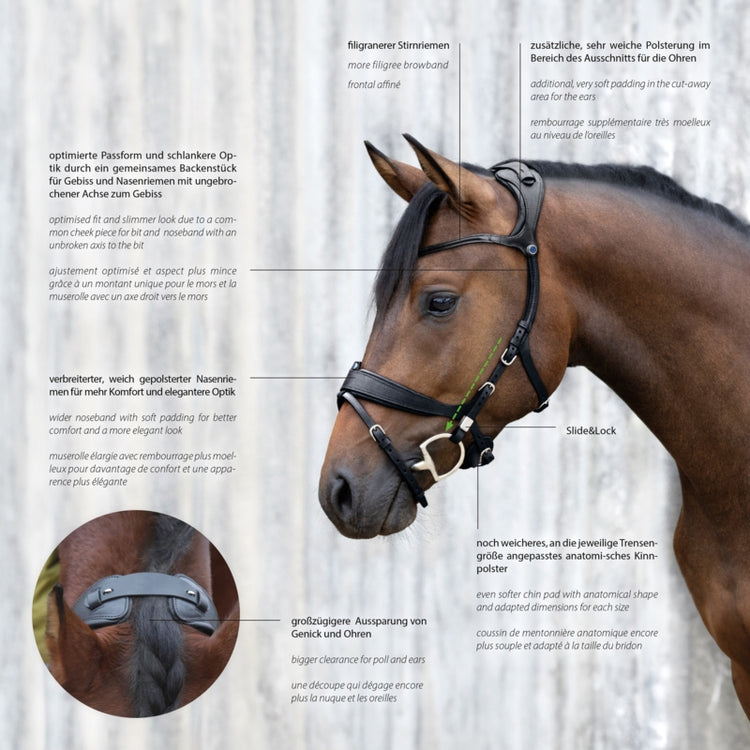 new Stübben bridles