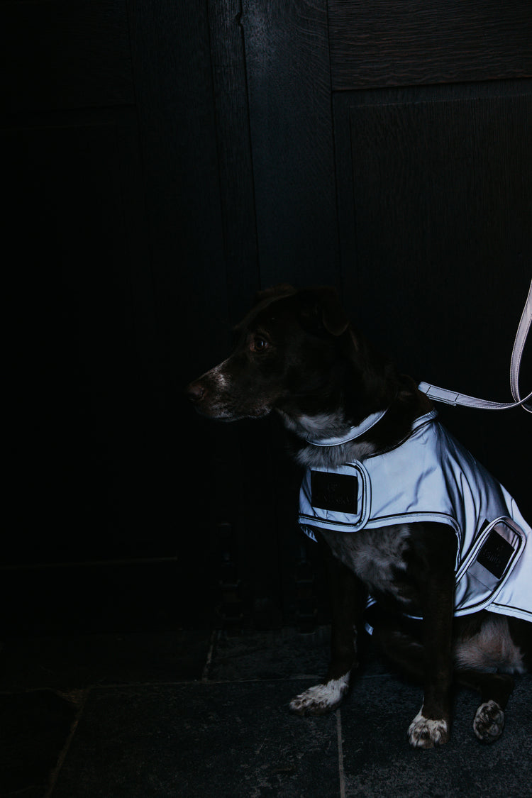 dog reflective safety coat