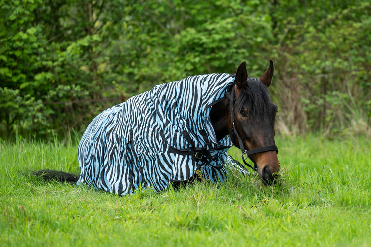 Zebra horse rug