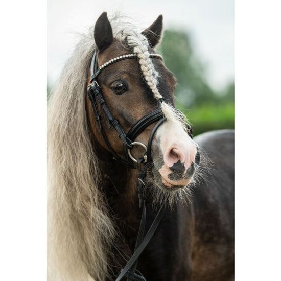 Leather bridle for small ponies