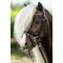Shetland Pony Leather Bridle
