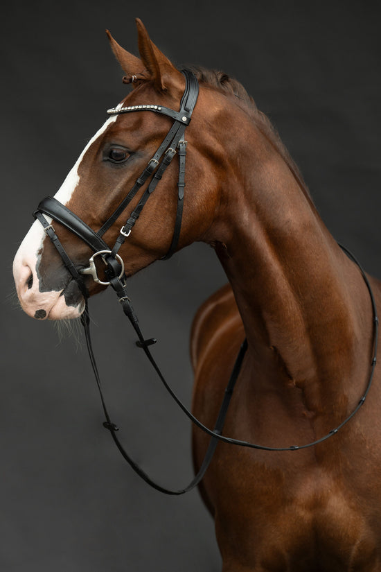 HKM Bella bridle