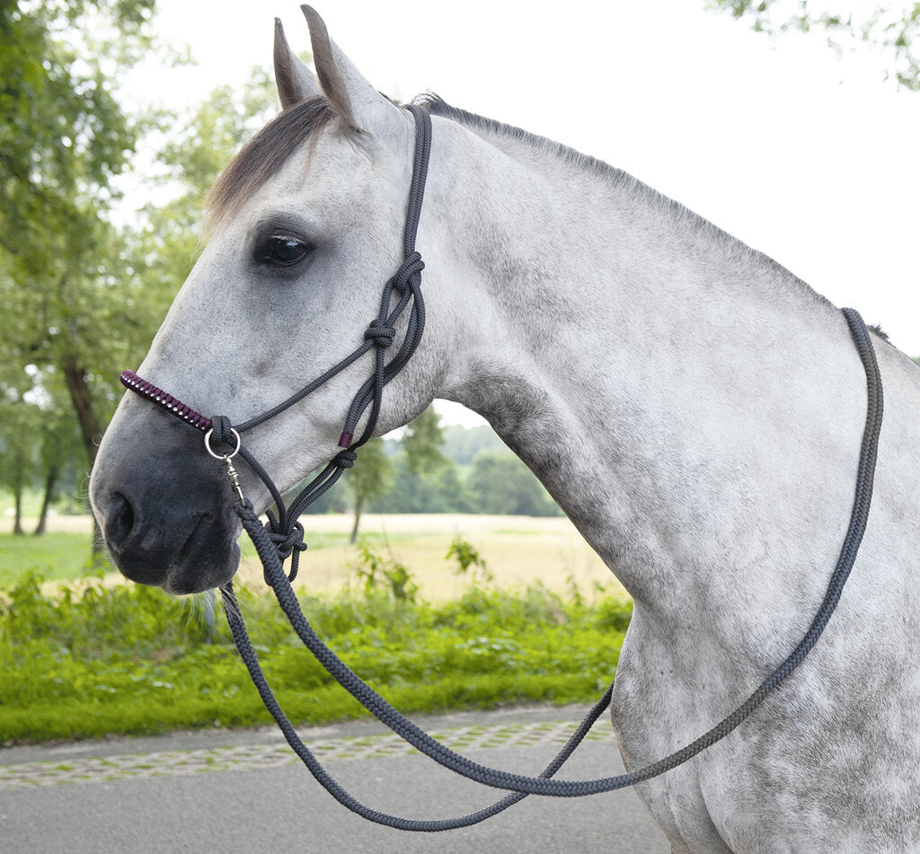 rope head collar