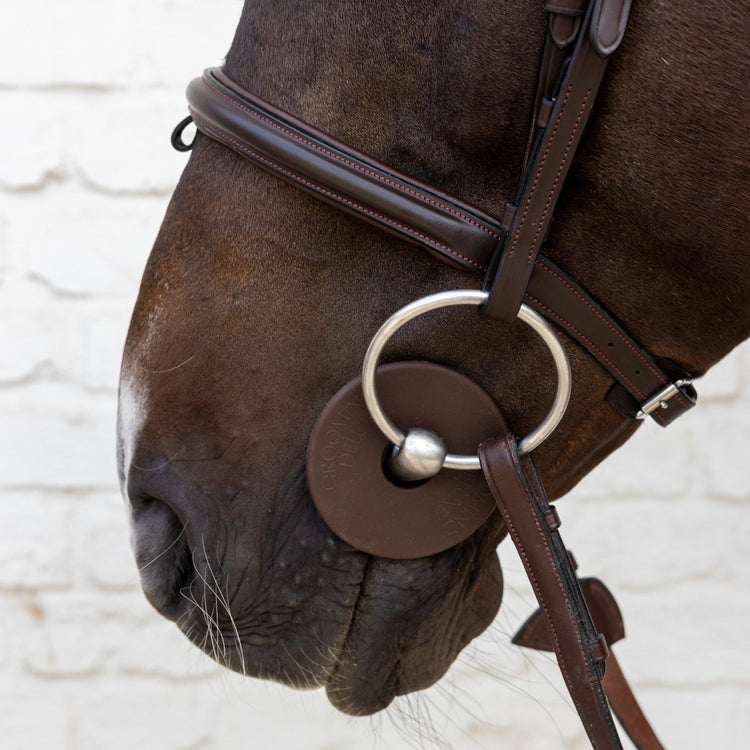 horse mouth protection