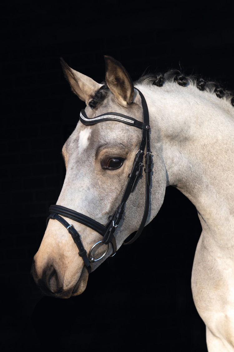 Cheap leather pony bridle