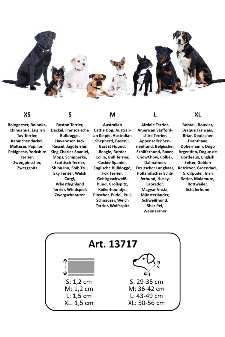 hkm dog collection