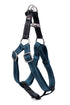 dog harness