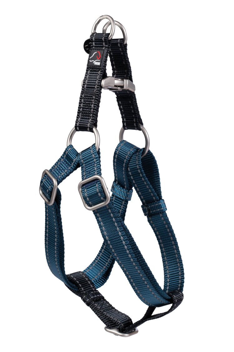 dog harness
