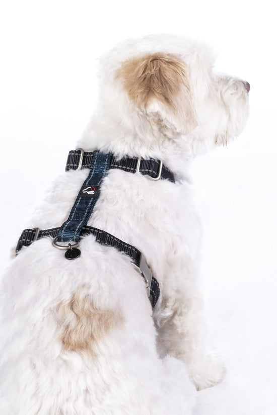 hkm dog harness