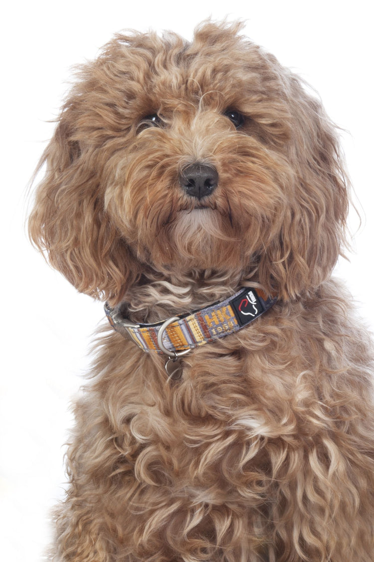 printed dog collar