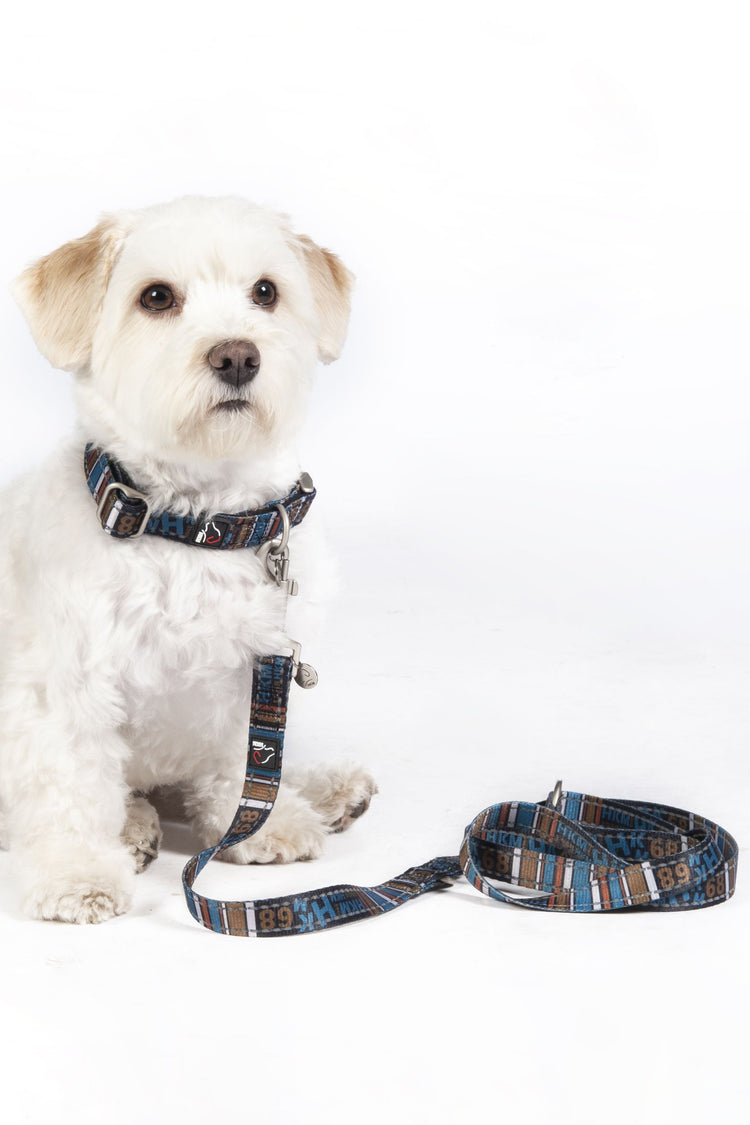 hkm dog collection