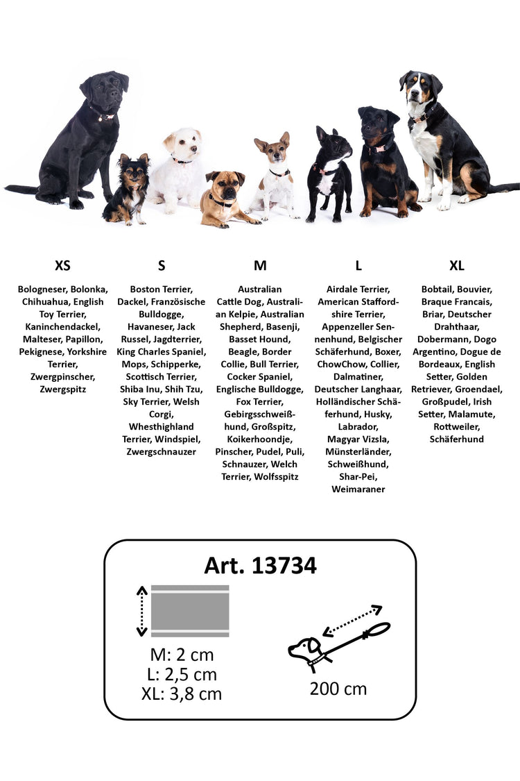 dog training leash