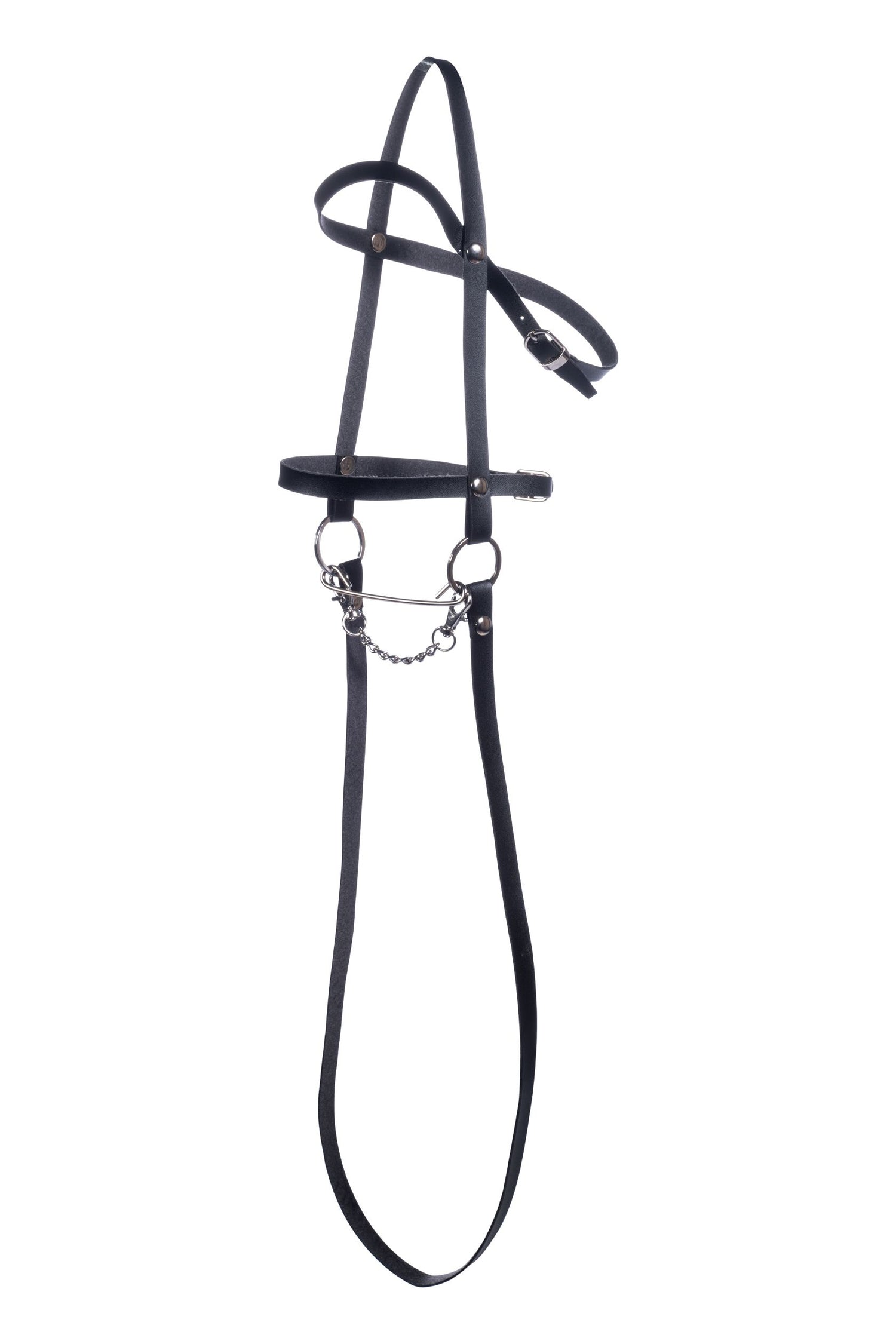 Hobby Horsing bridle