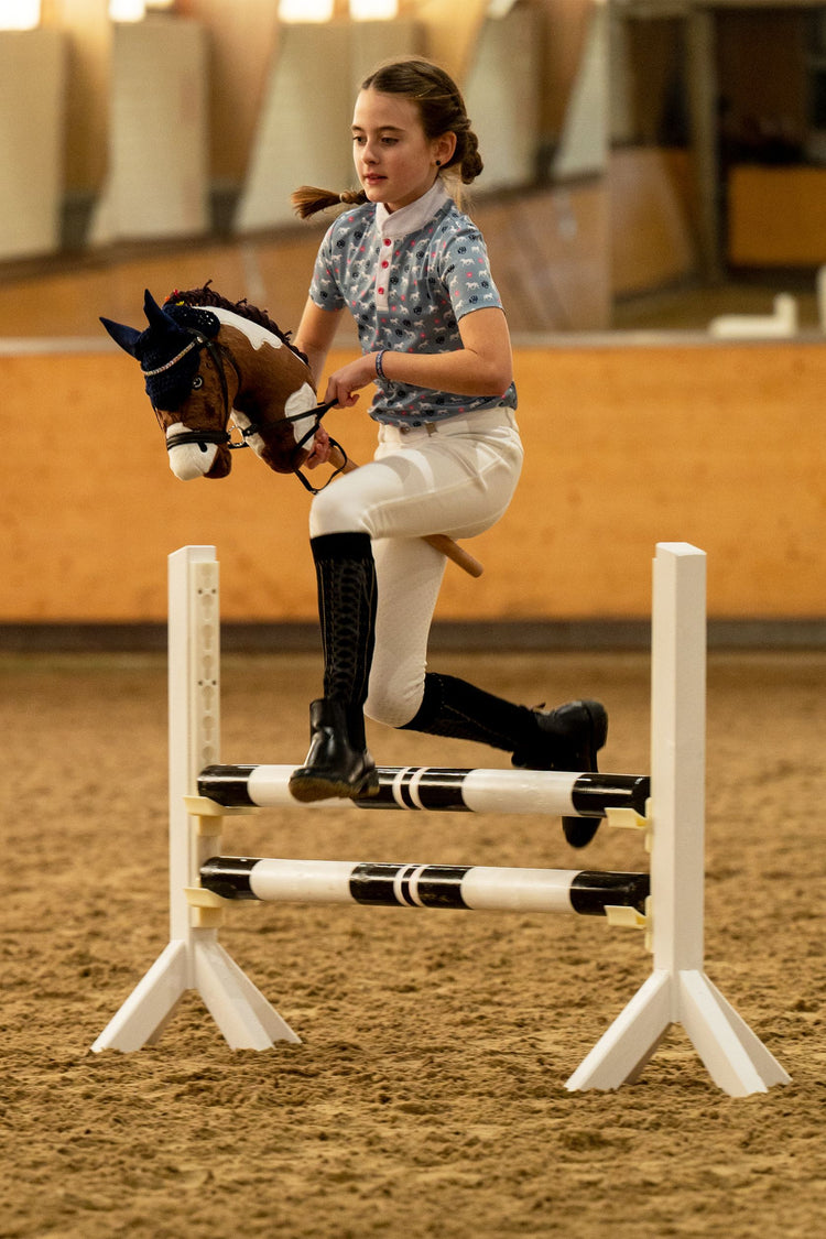Hobby Horsing Toy