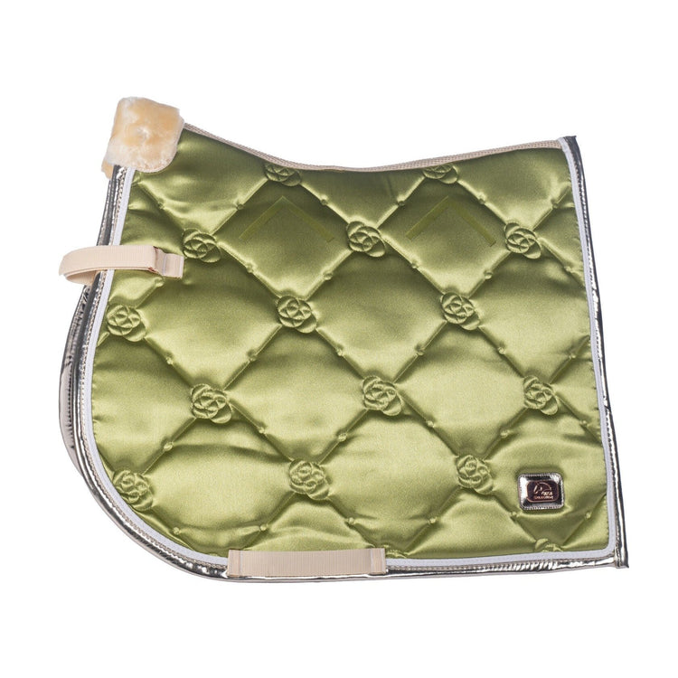 Pistachio saddle blanket