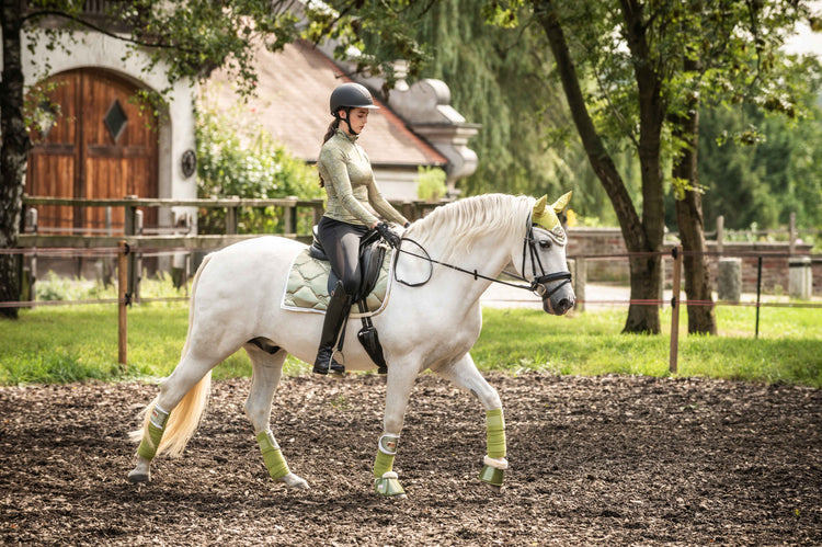 Pistachio green set for horses