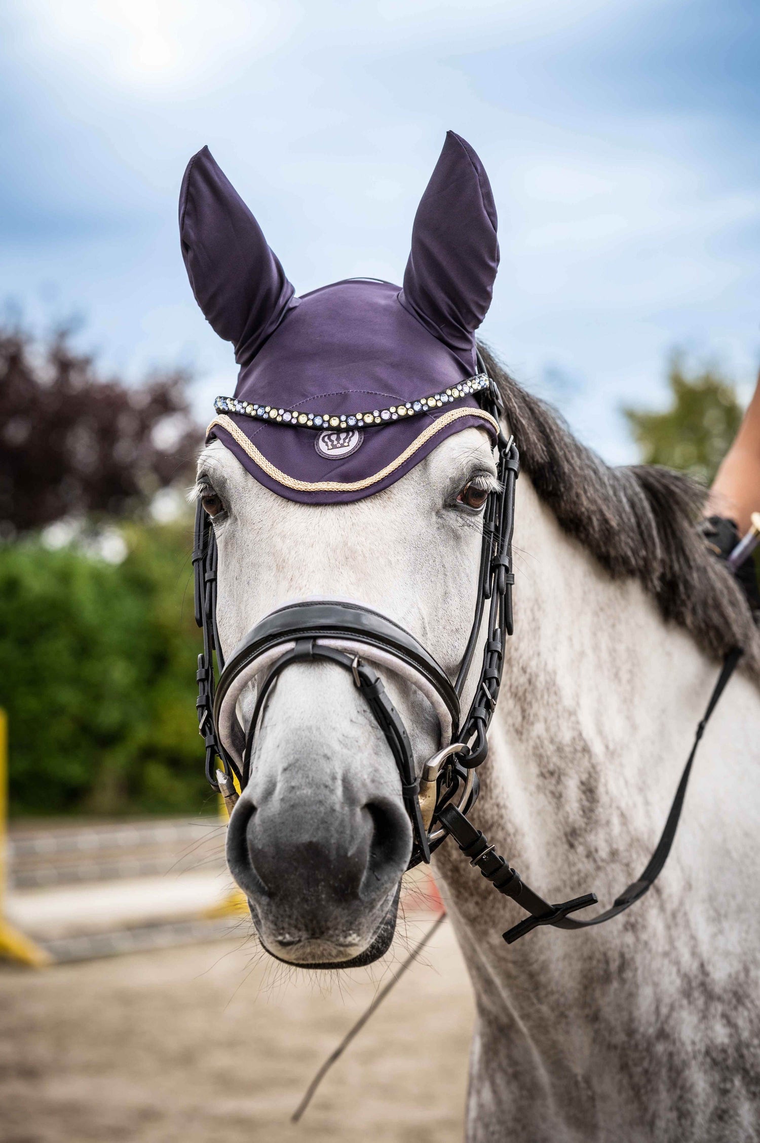 HKM Horse tack