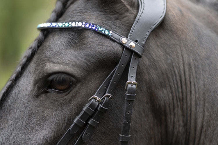 Best bridle for Frisians