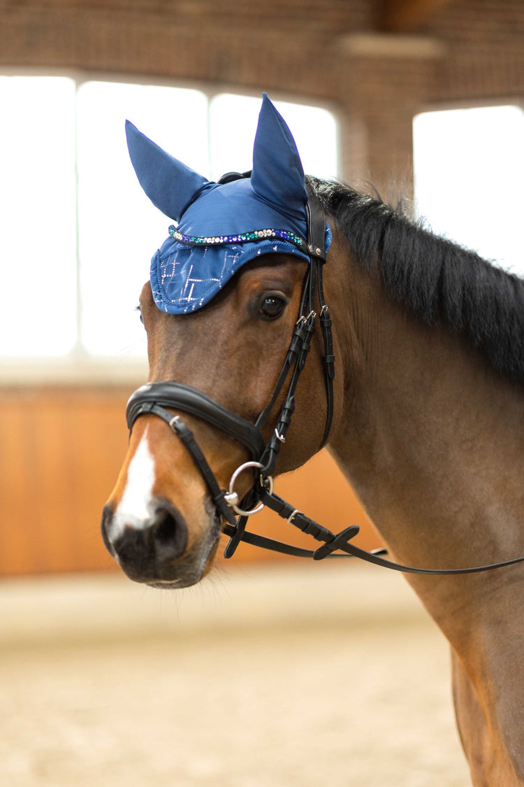 Cheap anatomic dressage bridle