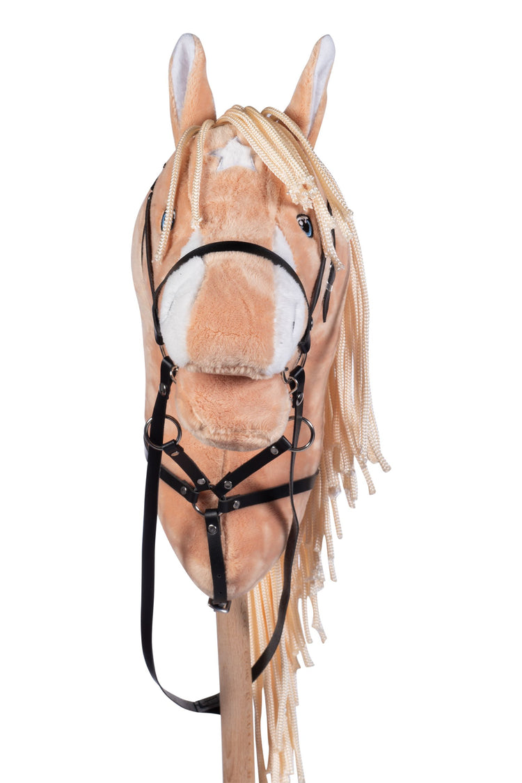 Hobby Horse riding equipment