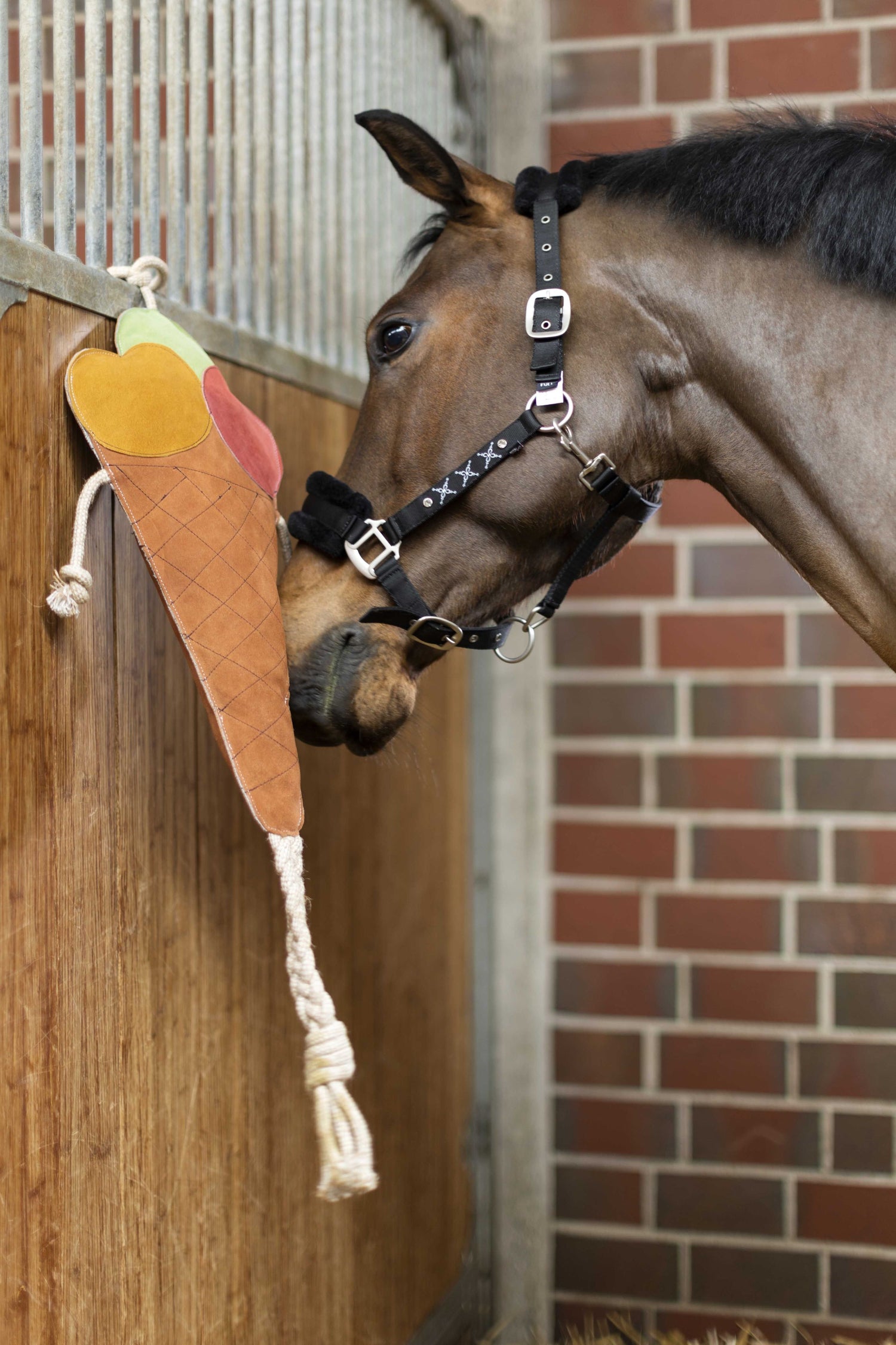 hkm toys for horses ice cream