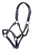Horse headcollar