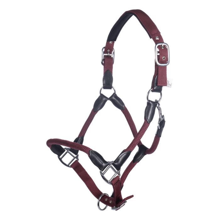 Padded horse halter