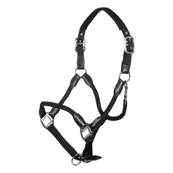 Leather head collar