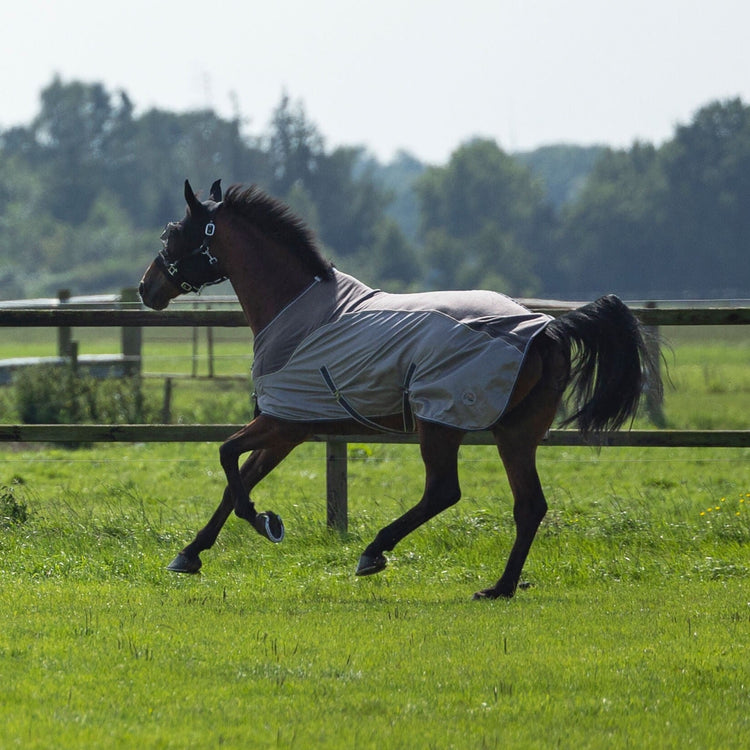 Horse fly sheet with fleece on back