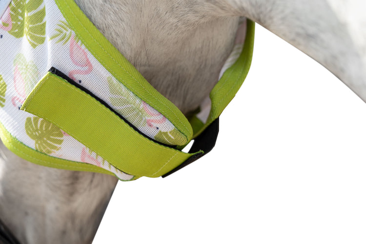 summer fly mask for horses