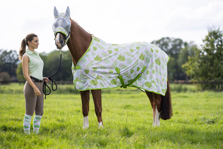 HKM equestrian 2024 summer collection