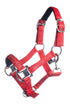 pony head collar