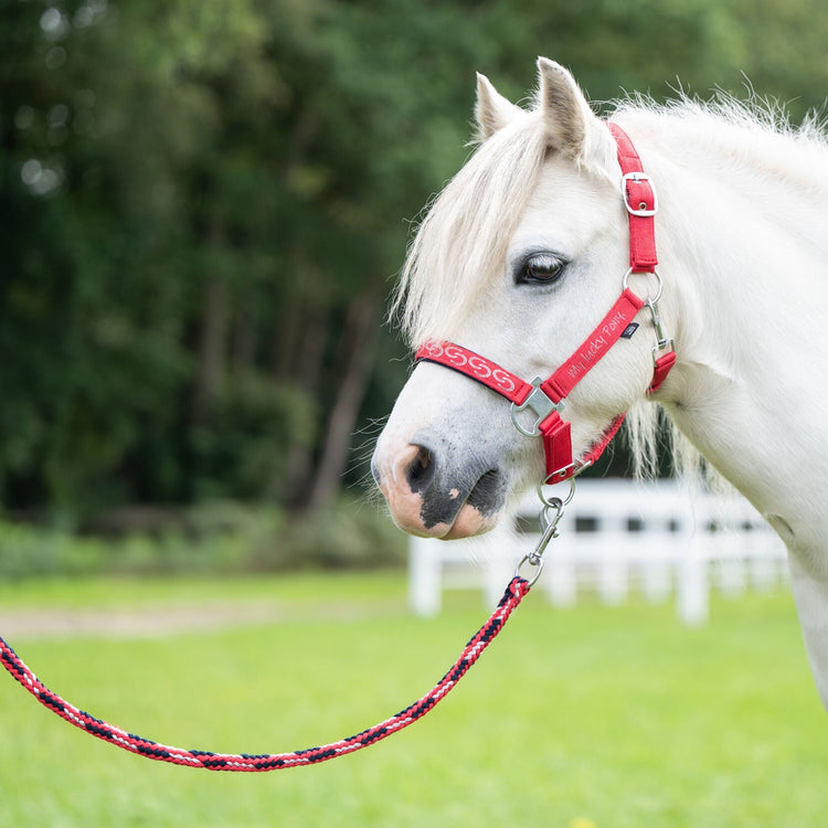 pony lead rope