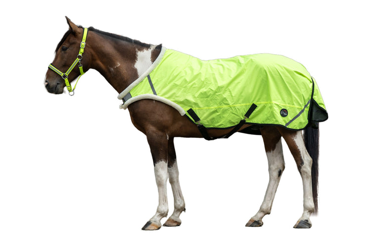 horse walker rug relfective