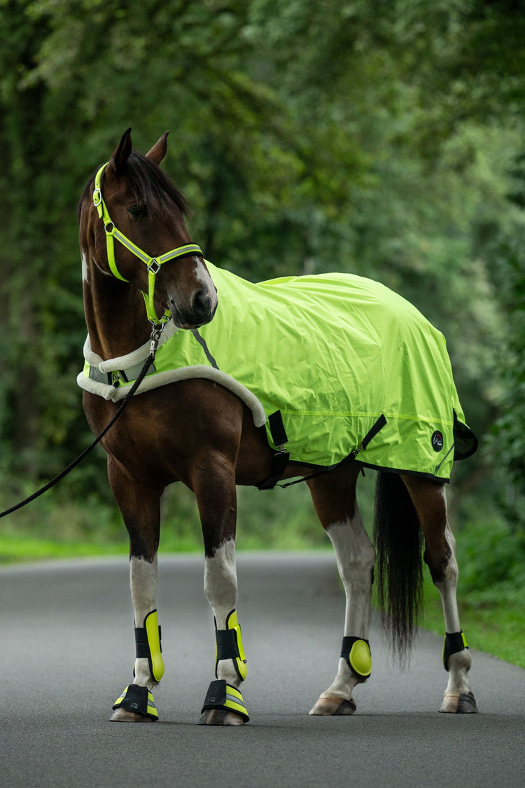 HKM reflective horse walker rug