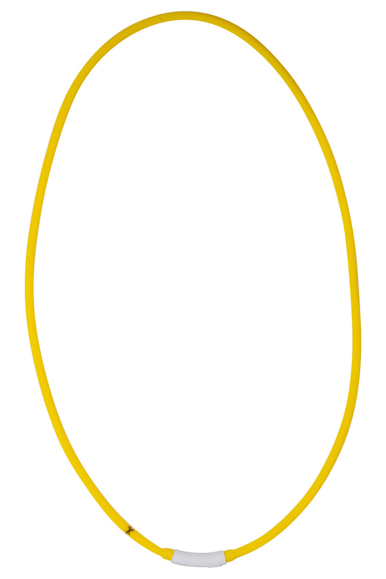 Neck light for horses