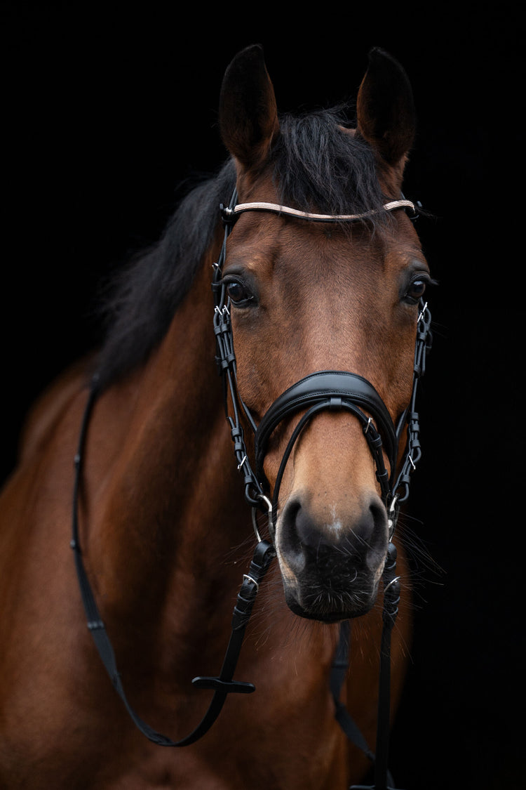 Stylish Kopenhagen Bridle