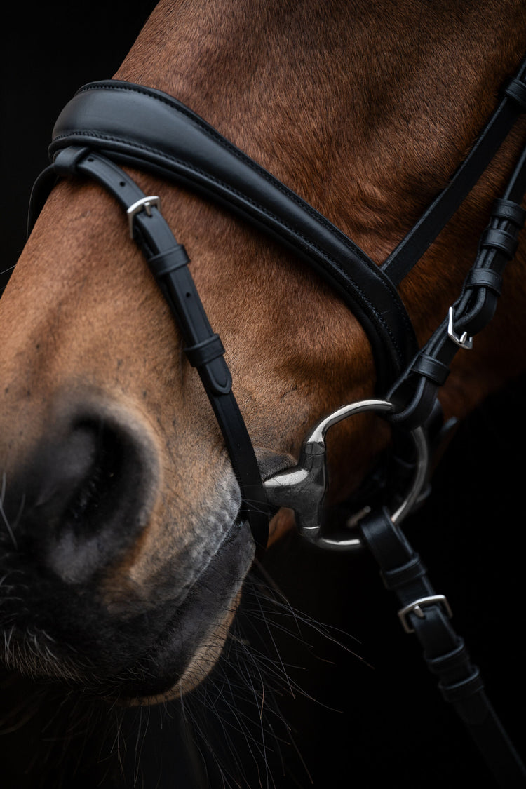 Comfortable Horse Bridle HKM