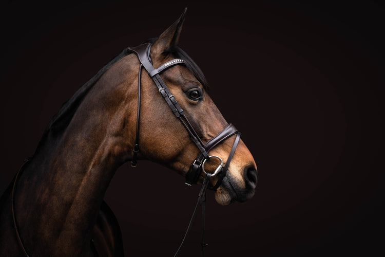 lauria garrelli swedish noseband bridle quality leather brown