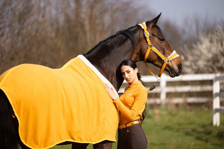 fleece lining horse blanket orange