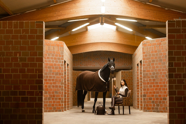 horse cooler dark brown