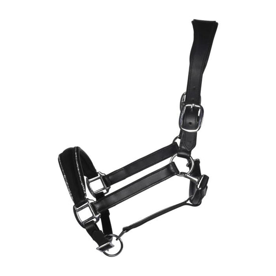 Leather horse halter with soft padding and crystals