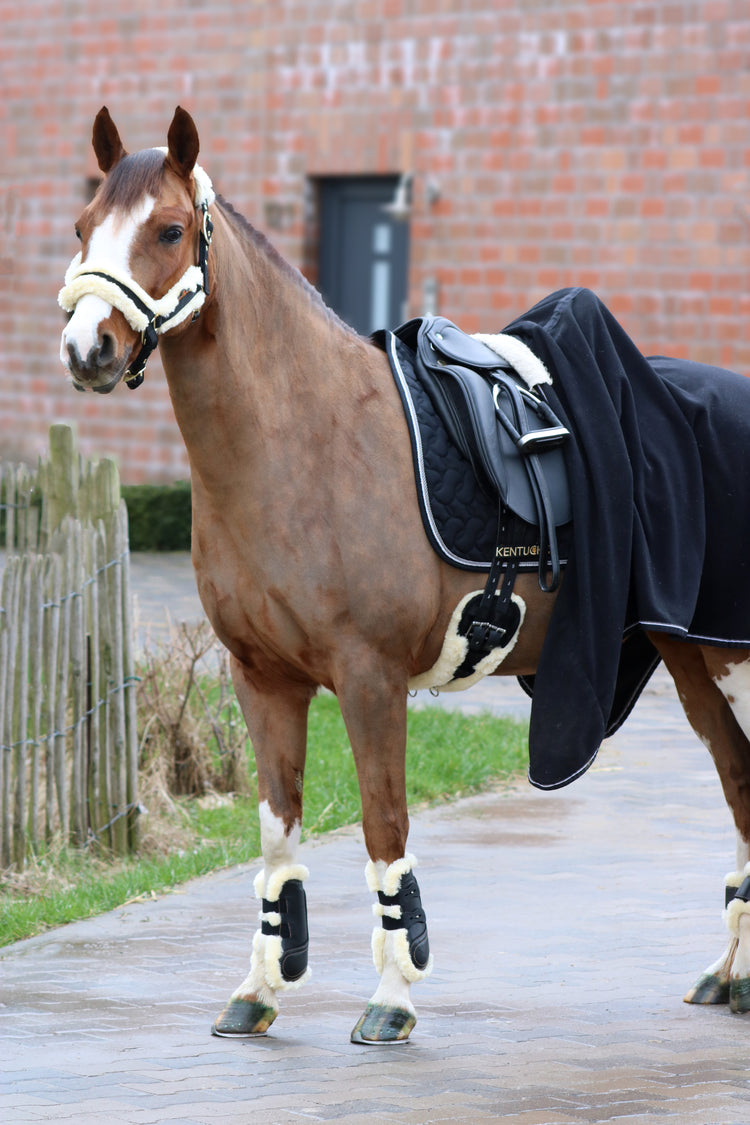 Kentucky dressage girth