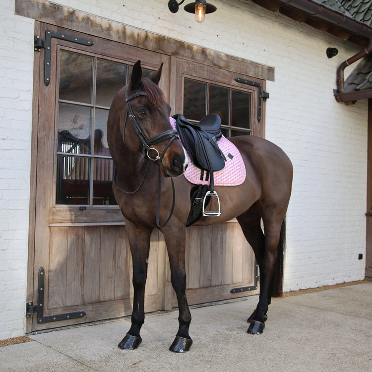 kentucky saddle cloth