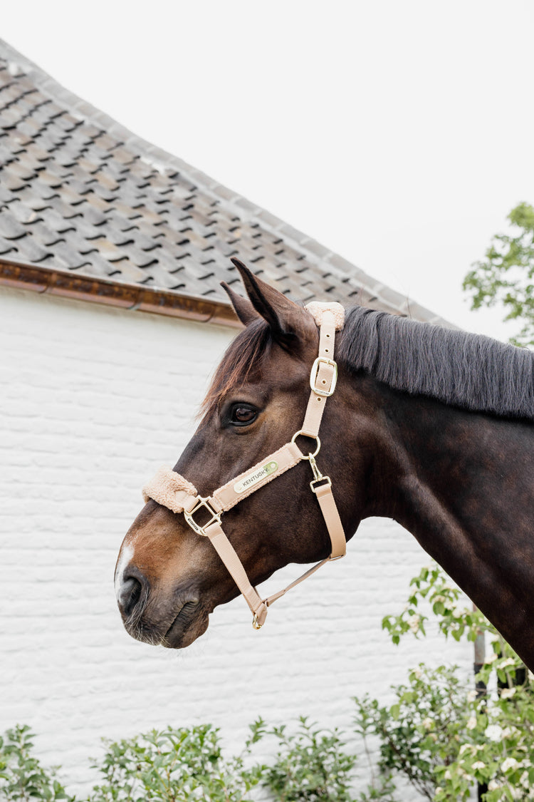 Beige Kentucky Halter