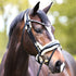 Bridle with sheepskin